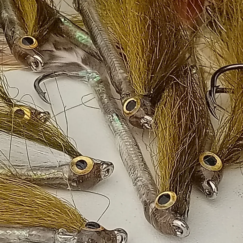 Baitfish Oliva Ojo Dorado